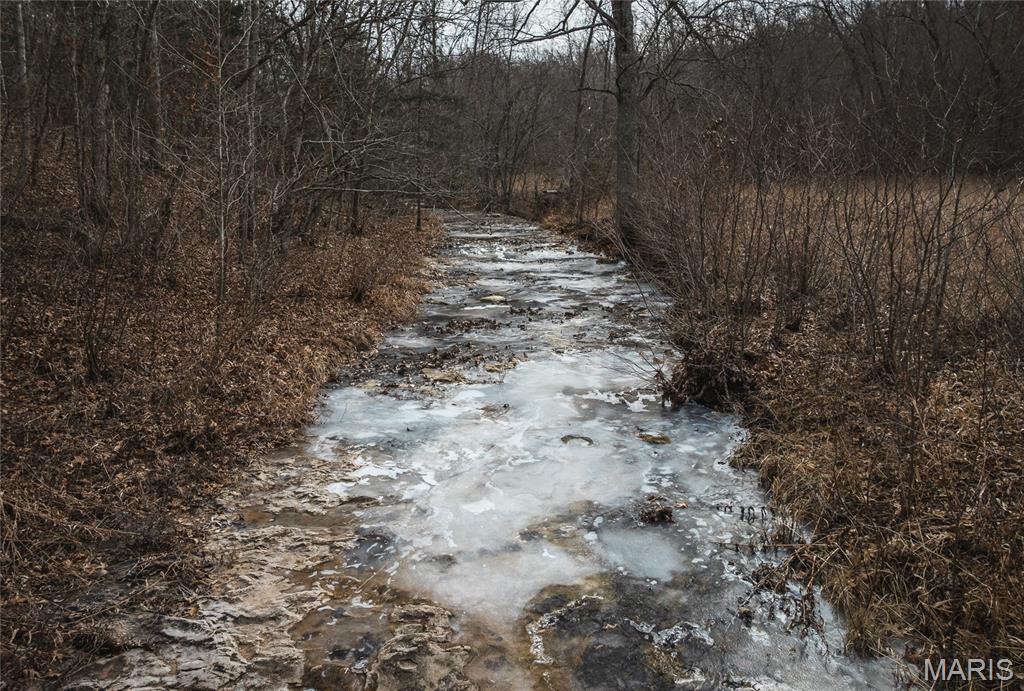 0 Ore Haul Road Belleview, MO 63623 - Photo 8 of 35