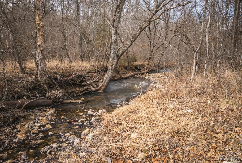 0 Ore Haul Road Belleview, MO 63623 - Photo 9 of 35