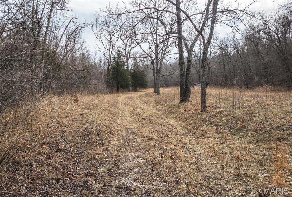 0 Ore Haul Road Belleview, MO 63623 - Photo 10 of 35