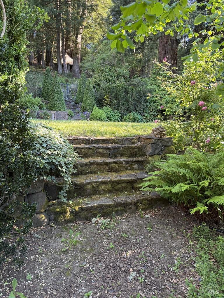 16875 Coleman Valley Road Occidental, CA 95465 - Photo 58 of 78
