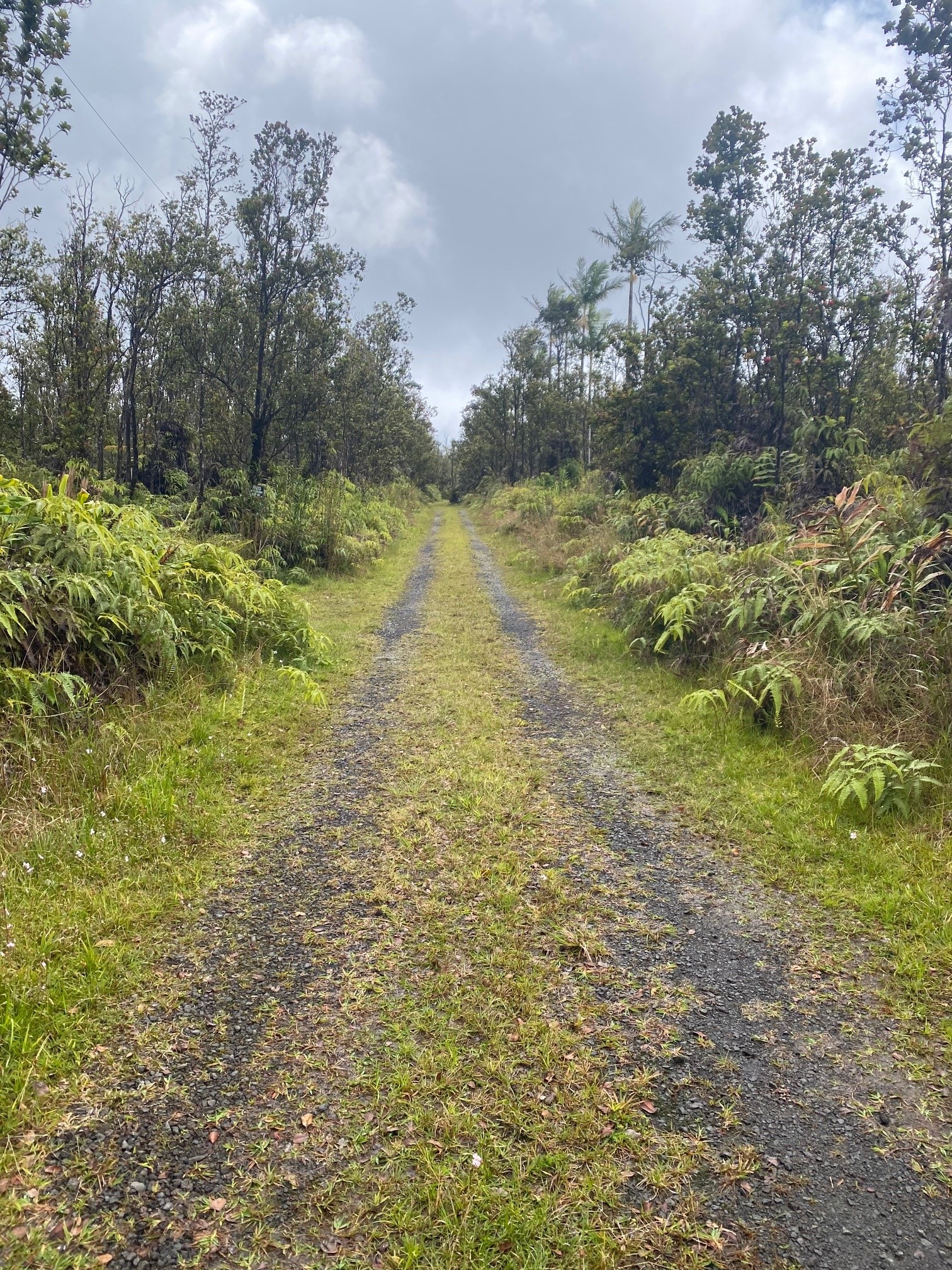 a view of a lake view