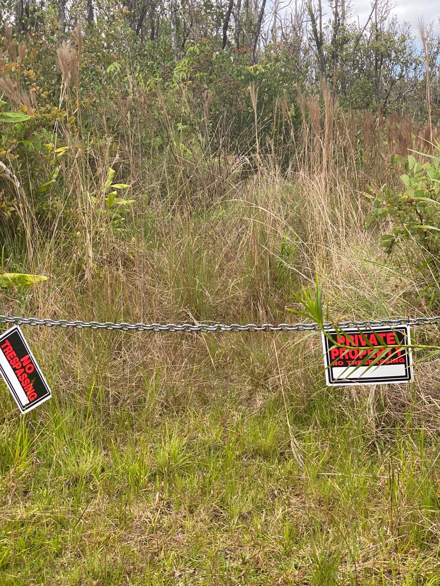 11-2724 Lot 6 Uakoko Road Mountain View, HI 96771 - Photo 2 of 8 a sign that is on a brick wall