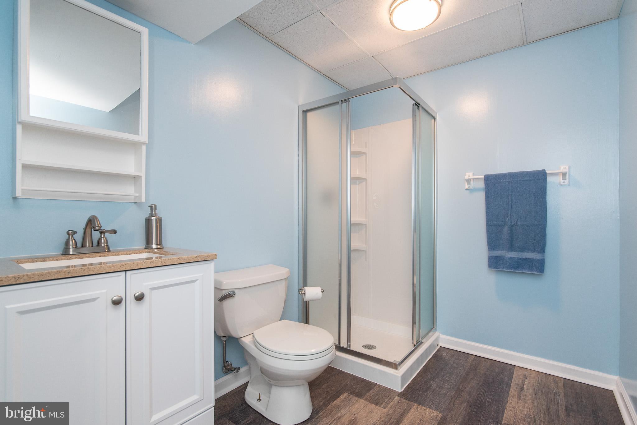 1729 Dr Jack Road Conowingo, MD 21918 - Photo 36 of 47 Full Bath Lower