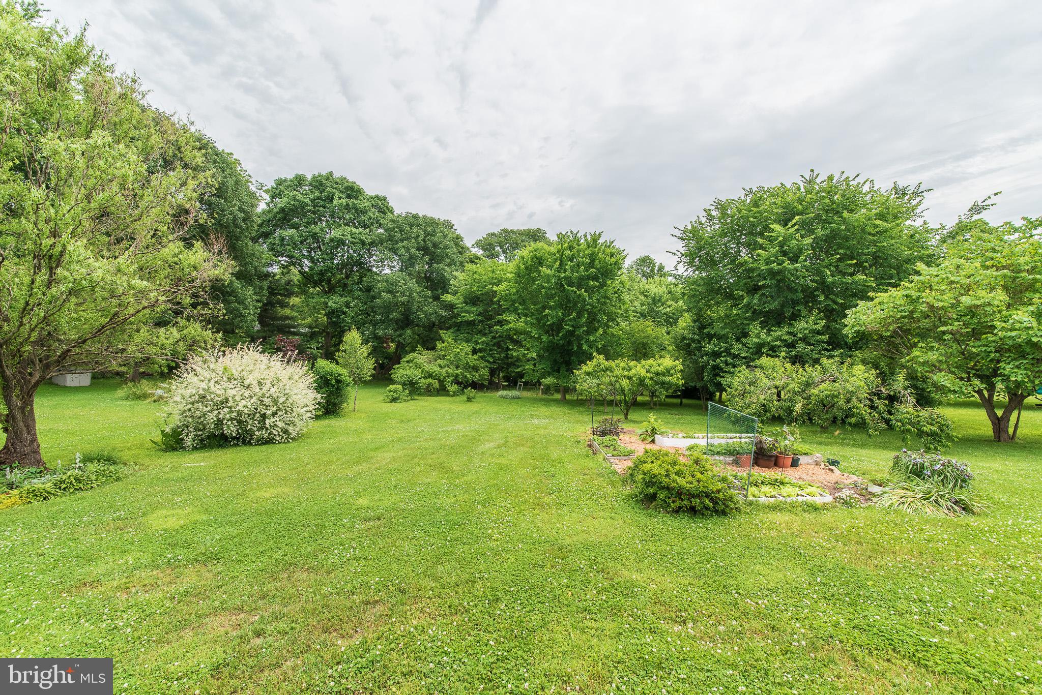 1729 Dr Jack Road Conowingo, MD 21918 - Photo 43 of 47 Exterior
