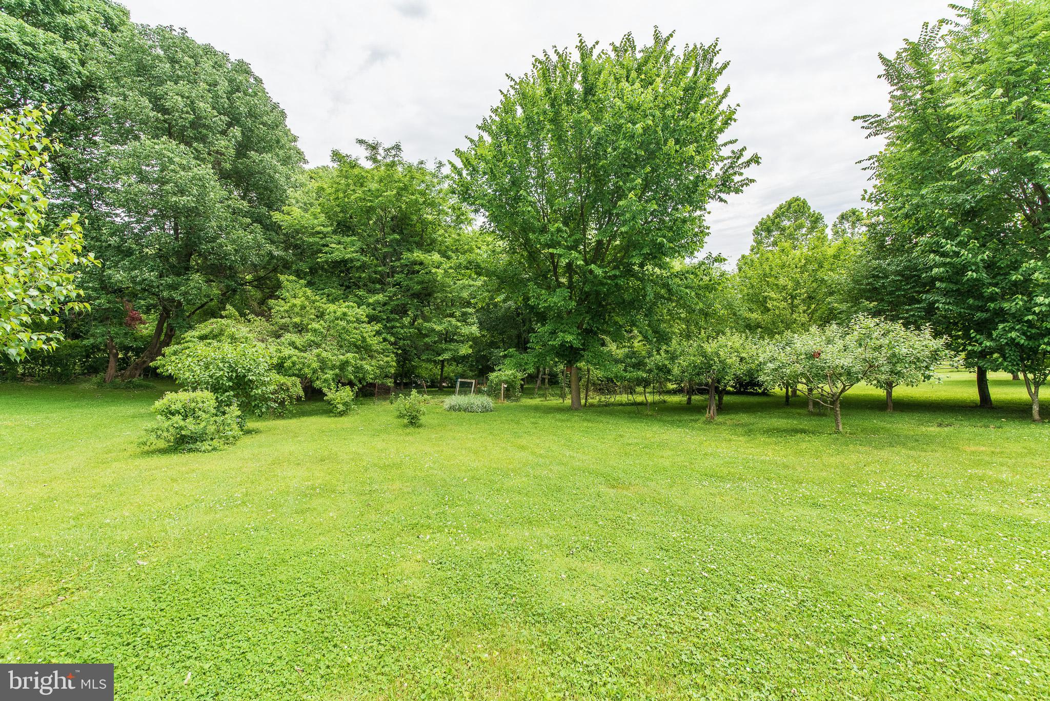 1729 Dr Jack Road Conowingo, MD 21918 - Photo 44 of 47 Exterior