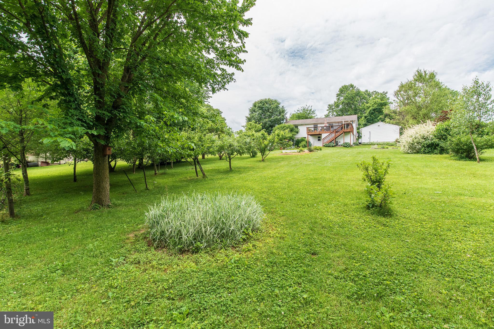 1729 Dr Jack Road Conowingo, MD 21918 - Photo 45 of 47 Exterior