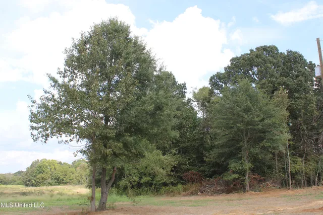 $110,000 | 12 Old Barn Cove, Coldwater, MS 38618