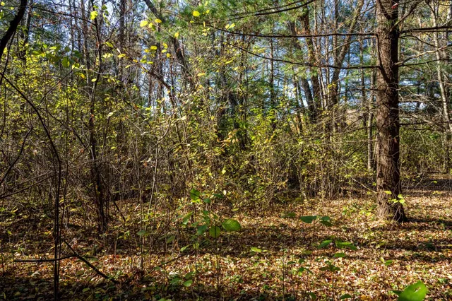 $34,950 | Lot 10 Treganza, Mauston, WI 53948