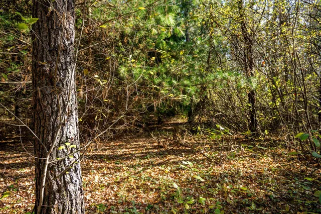 $34,950 | Lot 10 Treganza, Mauston, WI 53948