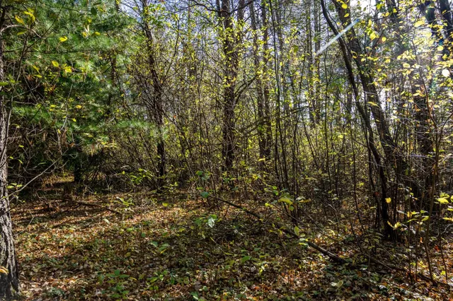 $34,950 | Lot 10 Treganza, Mauston, WI 53948