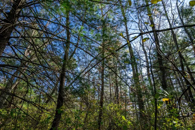 $34,950 | Lot 10 Treganza, Mauston, WI 53948