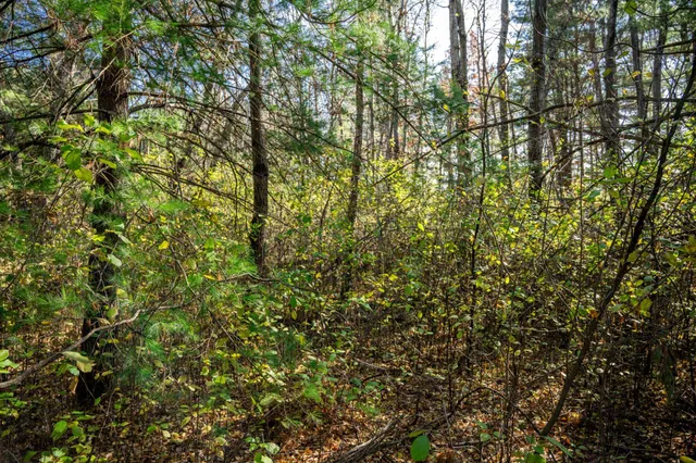 $34,950 | Lot 10 Treganza, Mauston, WI 53948