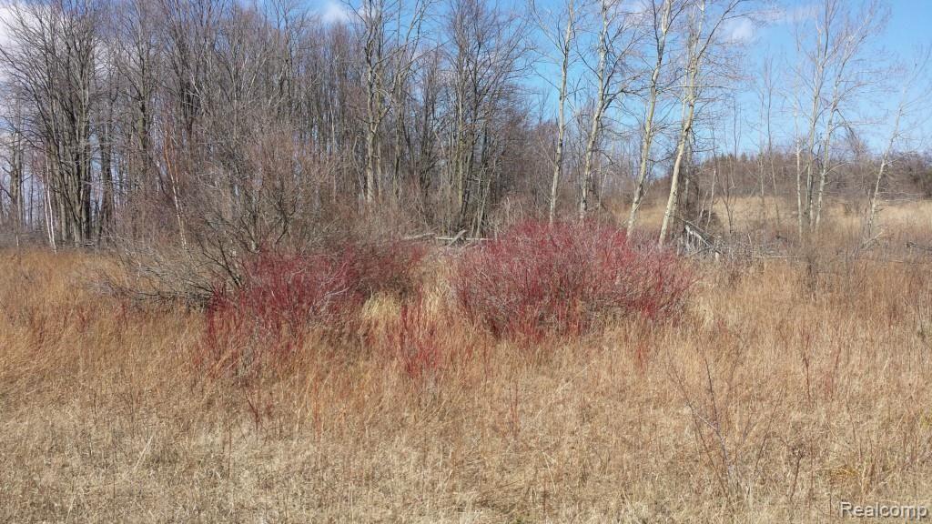 V/l Townsend Road Croswell, MI 48422 - Photo 9 of 10