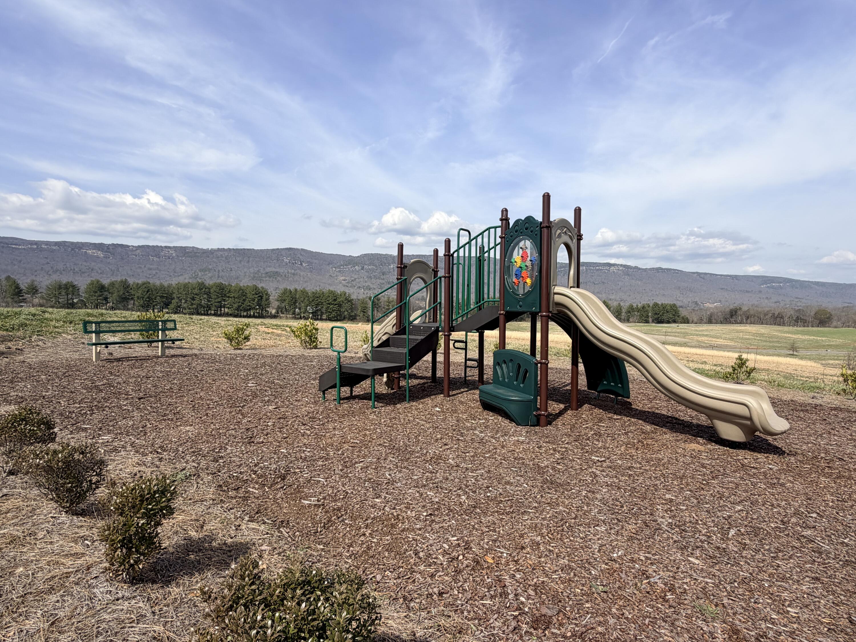 40 River Ridge Drive Dunlap, TN 37327 - Photo 15 of 15 IMG_0987