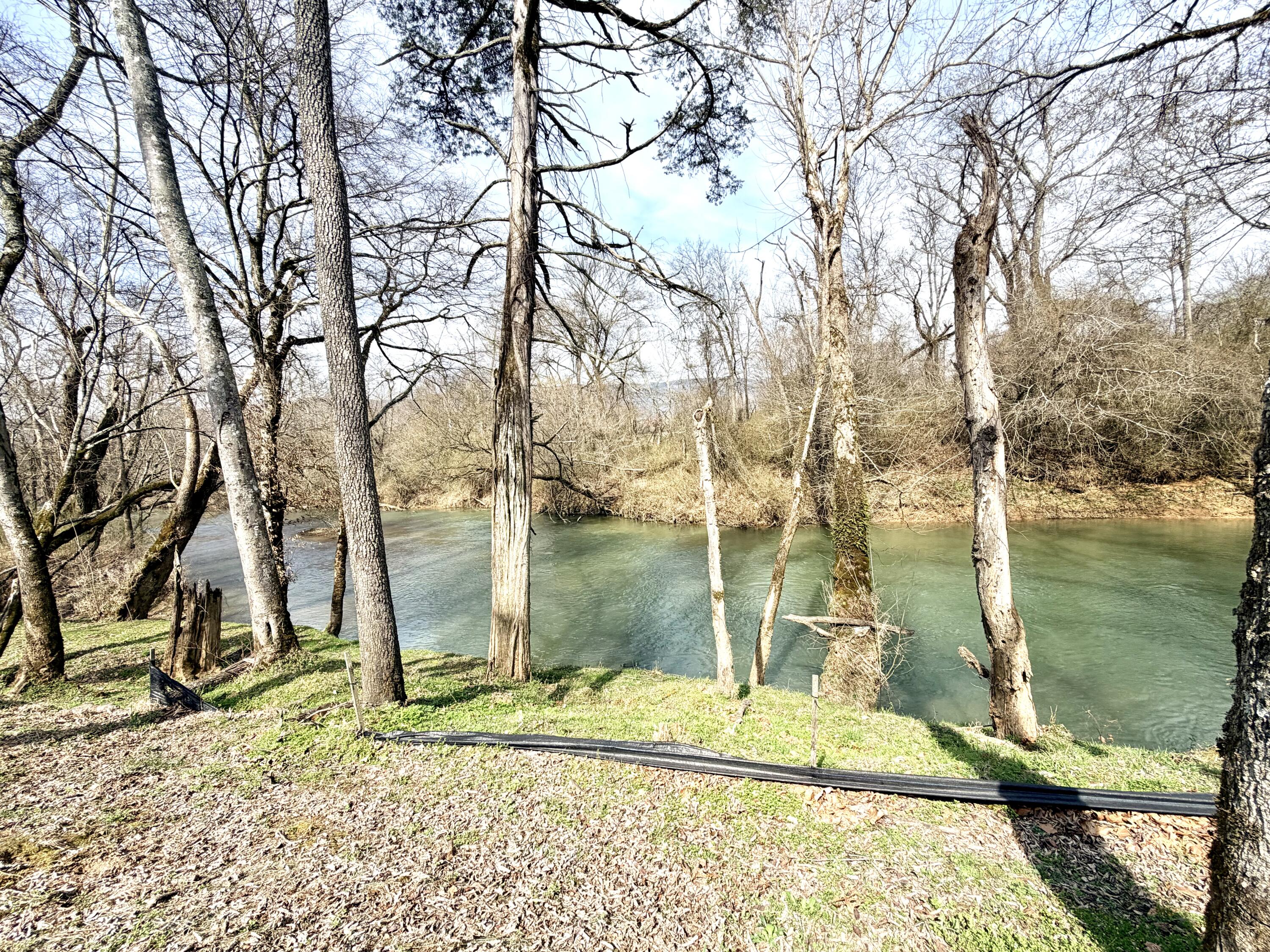 40 River Ridge Drive Dunlap, TN 37327 - Photo 3 of 15 IMG_0974