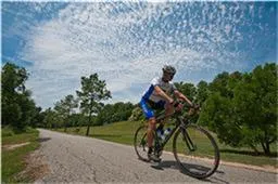 $5,500 | 14430 Daly Drive, Houston, TX 77077