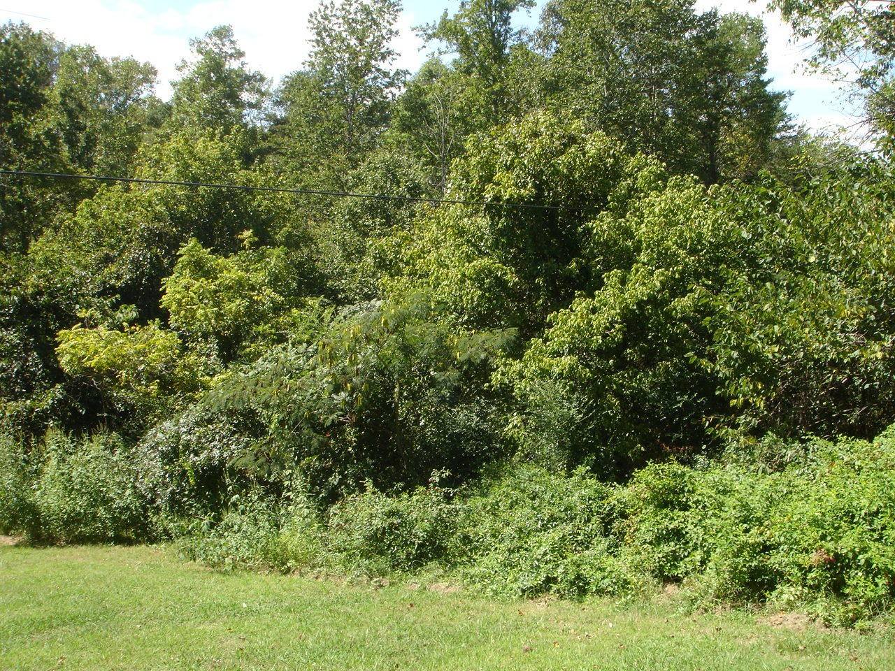 145 Atkins Road Madisonville, TN 37354 - Photo 19 of 27 Gallery Image 19