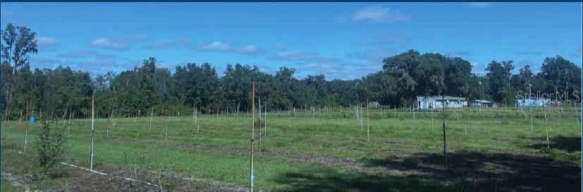 9333 East Bushnell Road Floral City, FL 34436 - Photo 2 of 28 a view of a grassy field