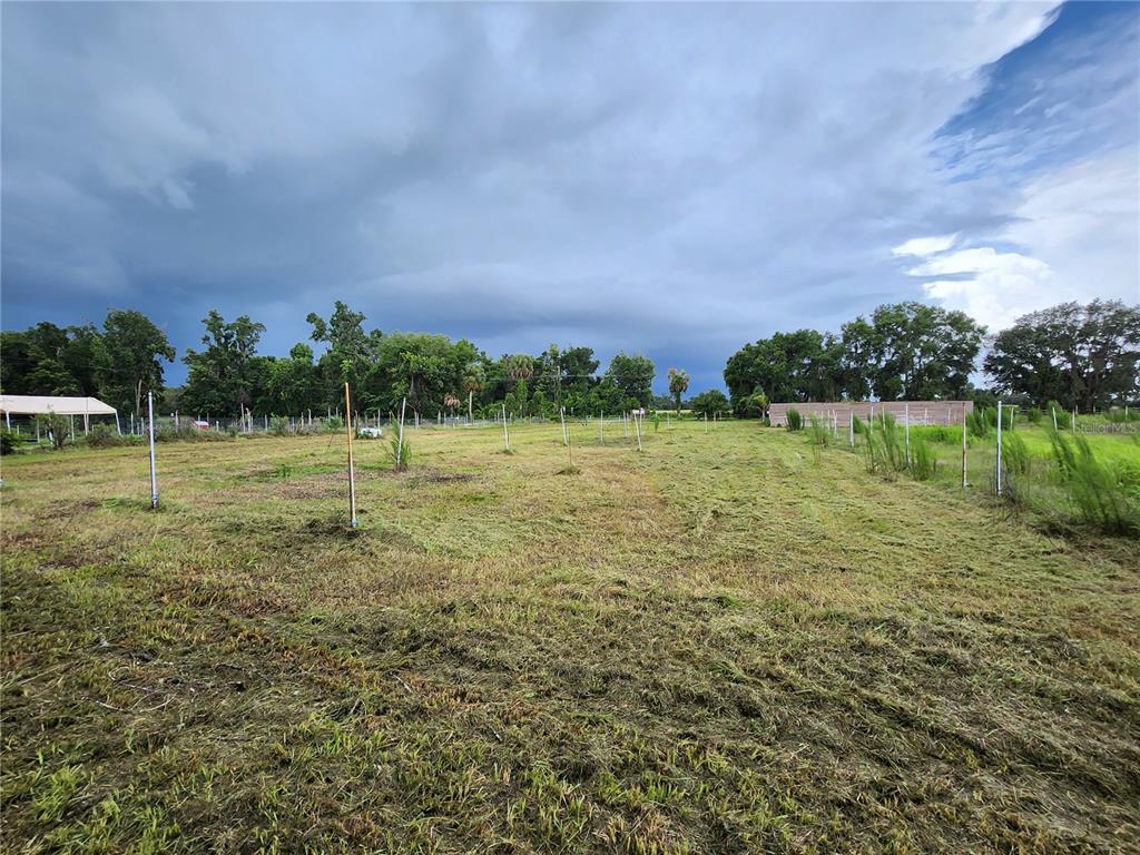 9333 East Bushnell Road Floral City, FL 34436 - Photo 7 of 28 a view of a garden with a building in the background