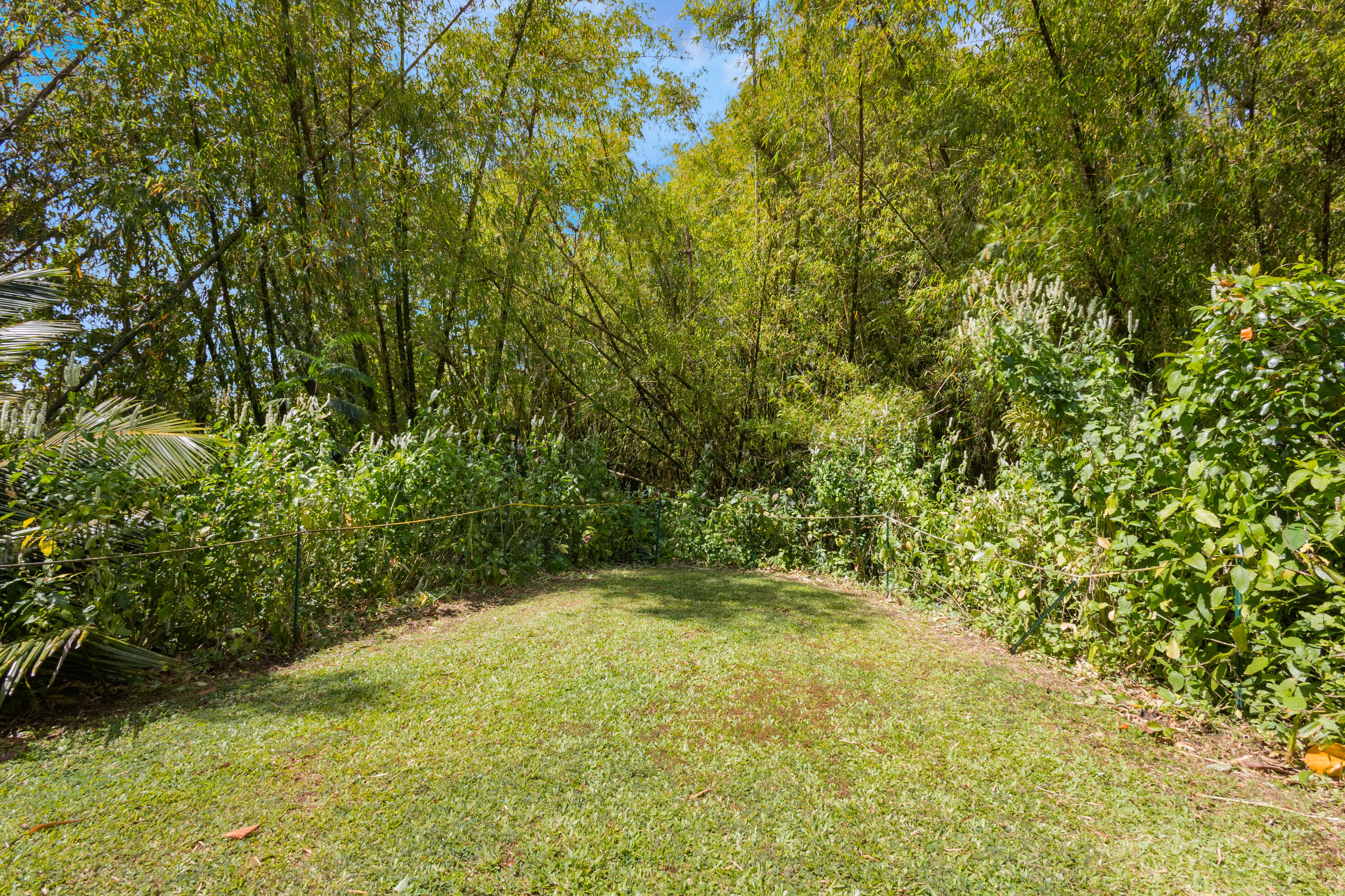 4085 B Noho Road Koloa, HI 96756 - Photo 7 of 30 a view of outdoor space and yard