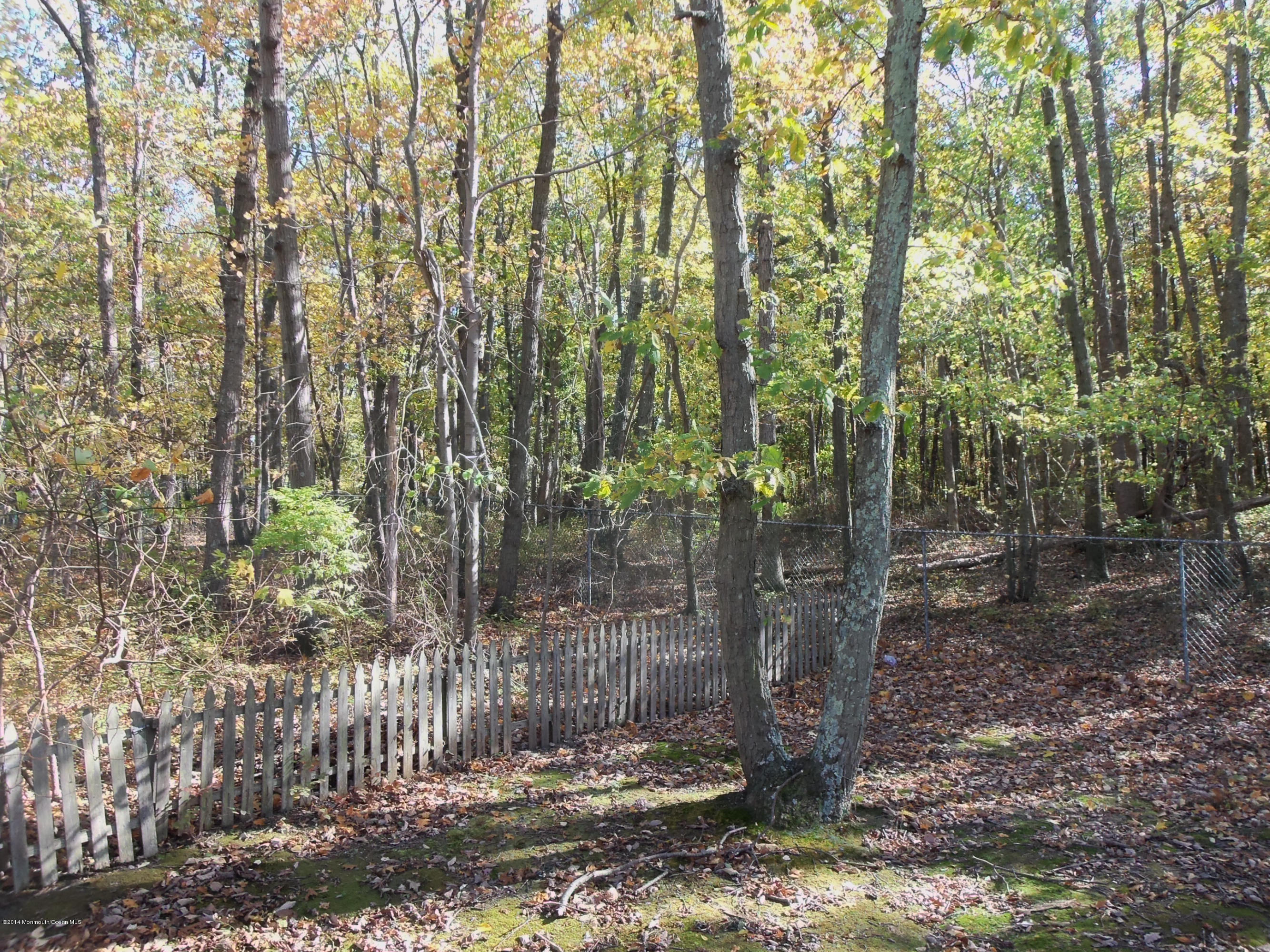 256 Windeler Road Howell, NJ 07731 - Photo 28 of 28 100_4420