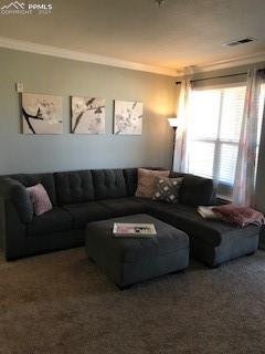 5353 Palomino Ranch Point, Unit 206 Colorado Springs, CO 80922 - Photo 5 of 15