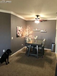 5353 Palomino Ranch Point, Unit 206 Colorado Springs, CO 80922 - Photo 6 of 15
