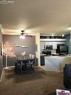 5353 Palomino Ranch Point, Unit 206 Colorado Springs, CO 80922 - Photo 7 of 15