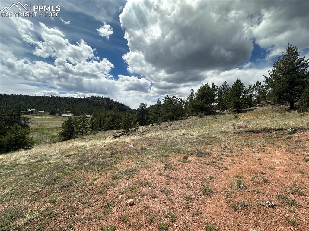 2332 County Road Florissant, CO 80816 - Photo 12 of 20