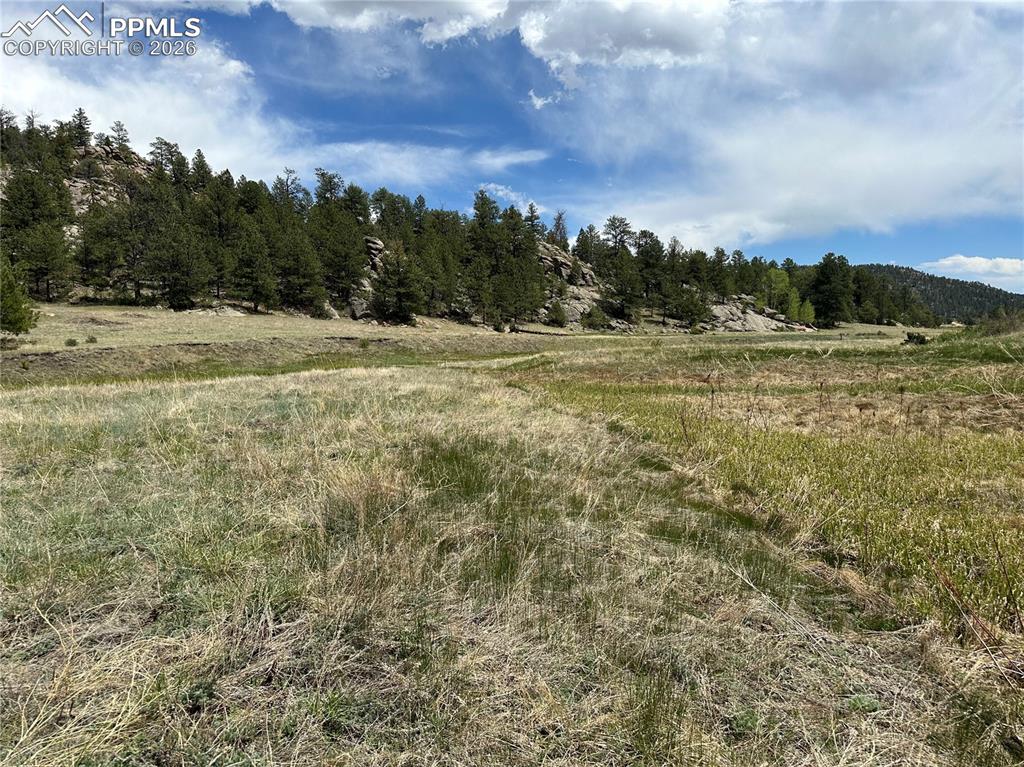 2332 County Road Florissant, CO 80816 - Photo 13 of 20