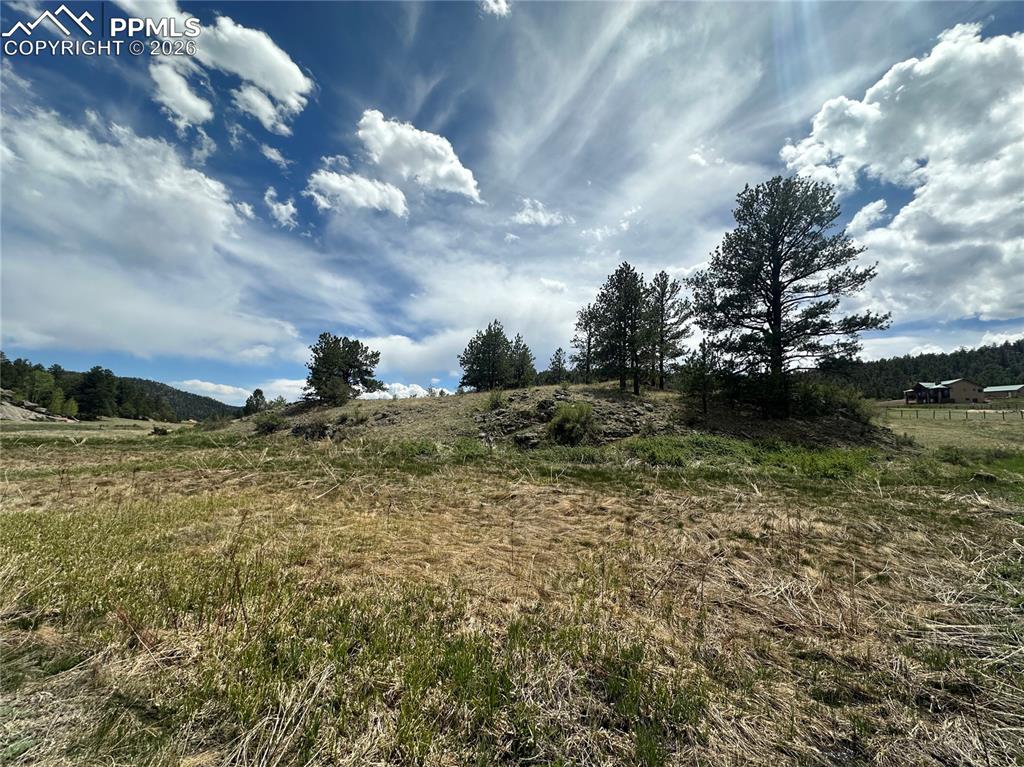 2332 County Road Florissant, CO 80816 - Photo 14 of 20