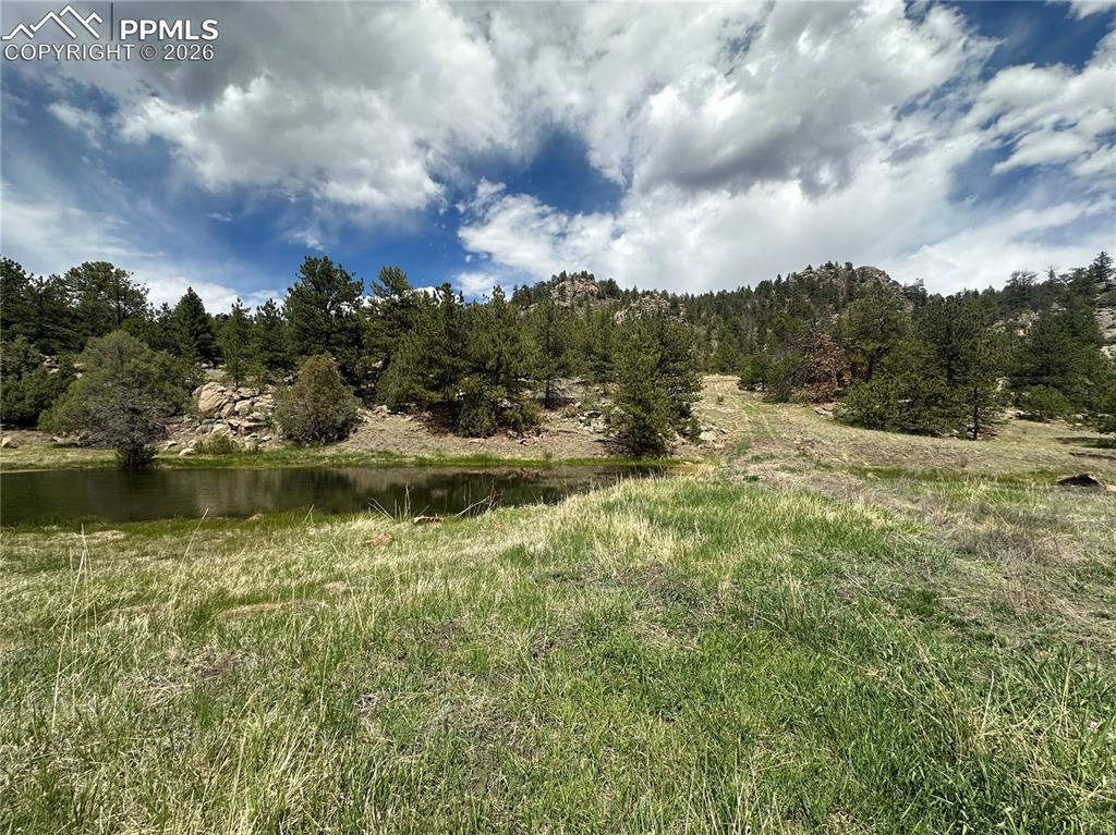 2332 County Road Florissant, CO 80816 - Photo 16 of 20