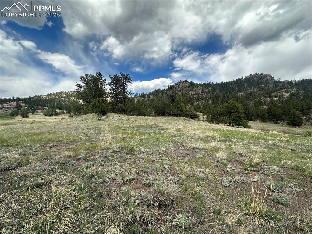 2332 County Road Florissant, CO 80816 - Photo 18 of 20