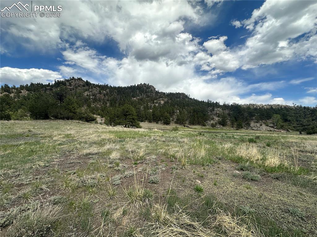 2332 County Road Florissant, CO 80816 - Photo 19 of 20