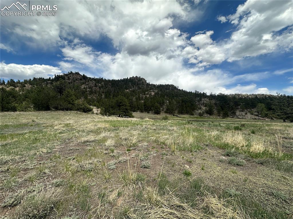 2332 County Road Florissant, CO 80816 - Photo 20 of 20