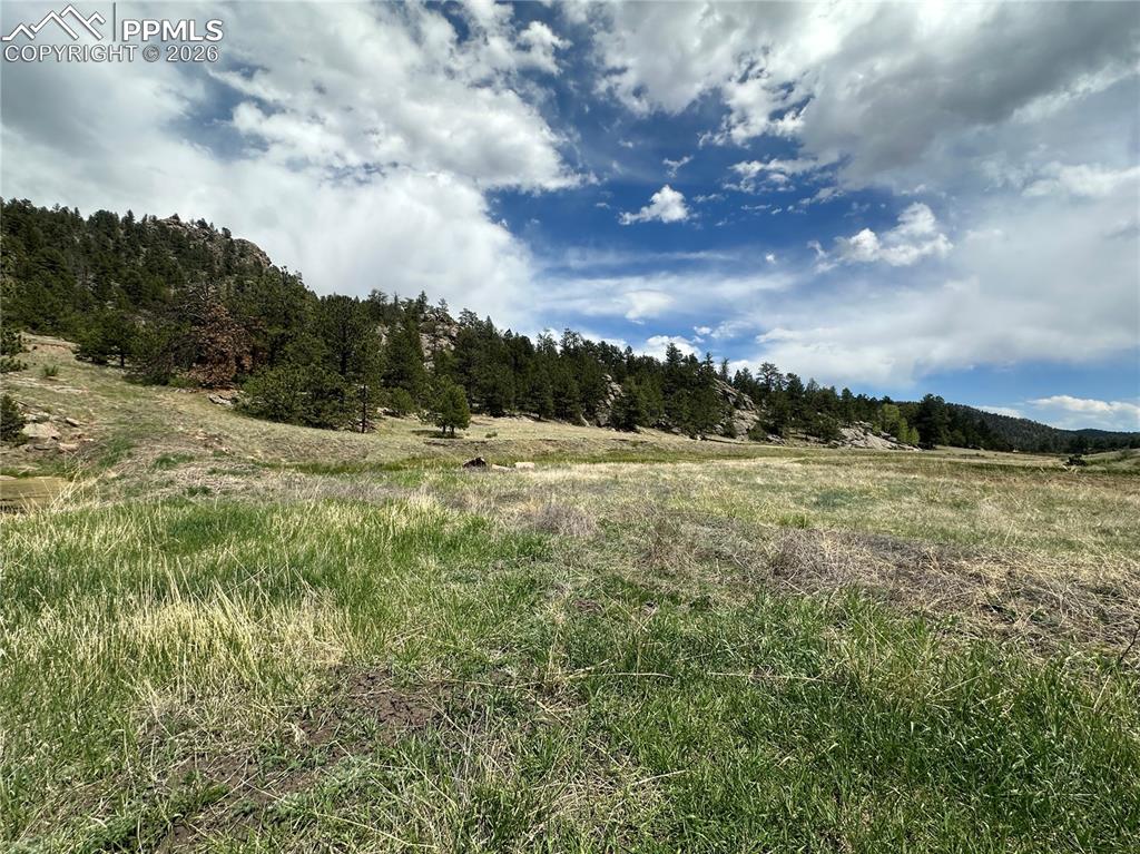 2332 County Road Florissant, CO 80816 - Photo 2 of 20
