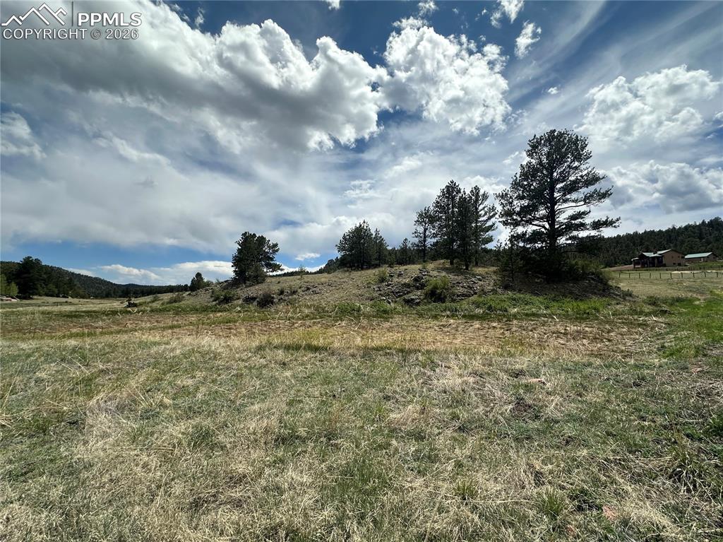 2332 County Road Florissant, CO 80816 - Photo 3 of 20