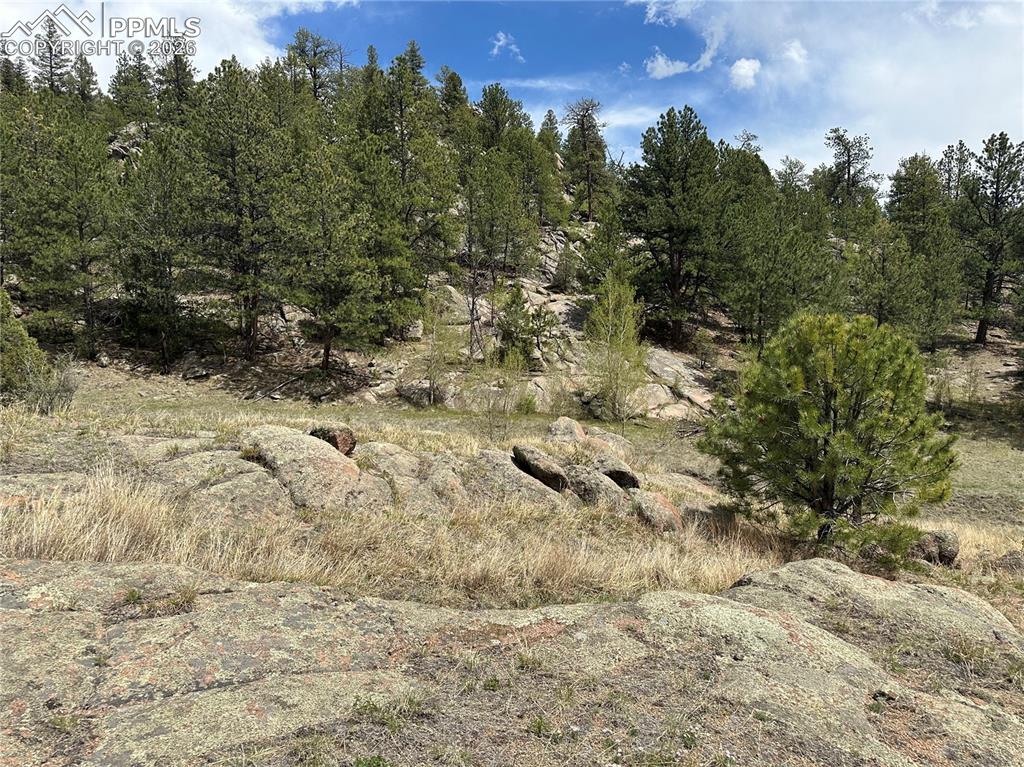 2332 County Road Florissant, CO 80816 - Photo 6 of 20