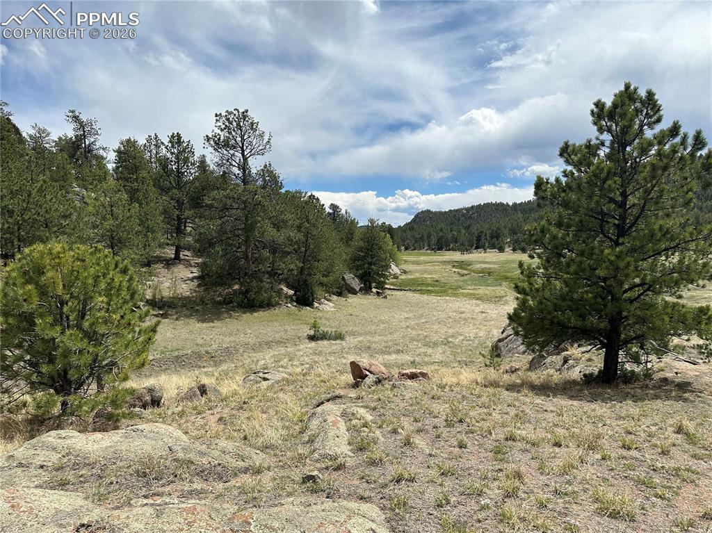 2332 County Road Florissant, CO 80816 - Photo 7 of 20