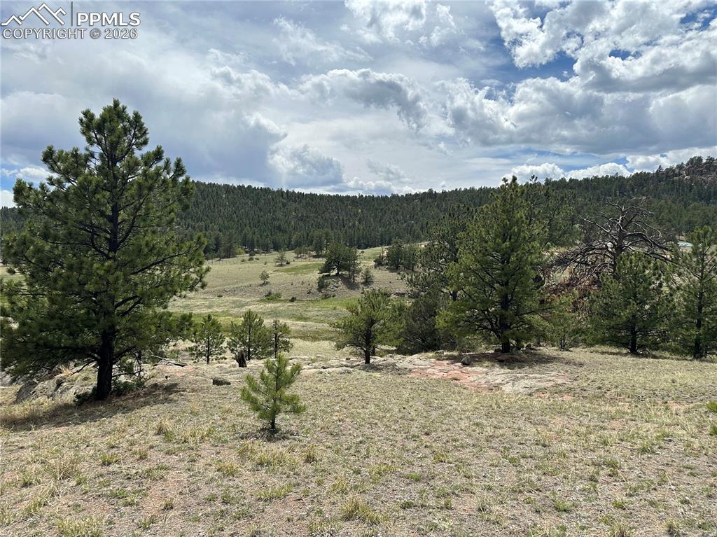 2332 County Road Florissant, CO 80816 - Photo 8 of 20