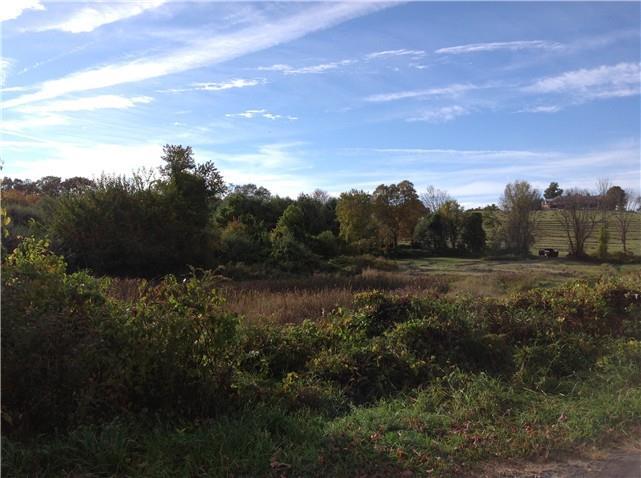 a view of a field of grass and trees
