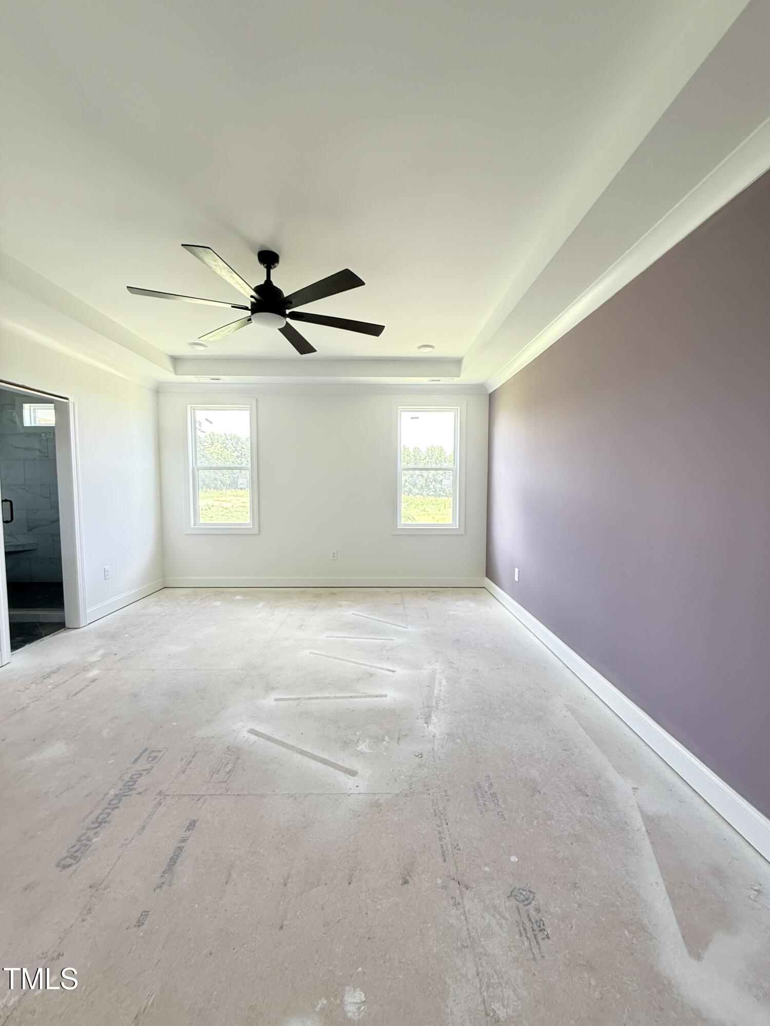 6930 Fire Tower Road Bailey, NC 27807 - Photo 12 of 33 Tremendous Master with Trey ceiling and accent wall ( color is changing )