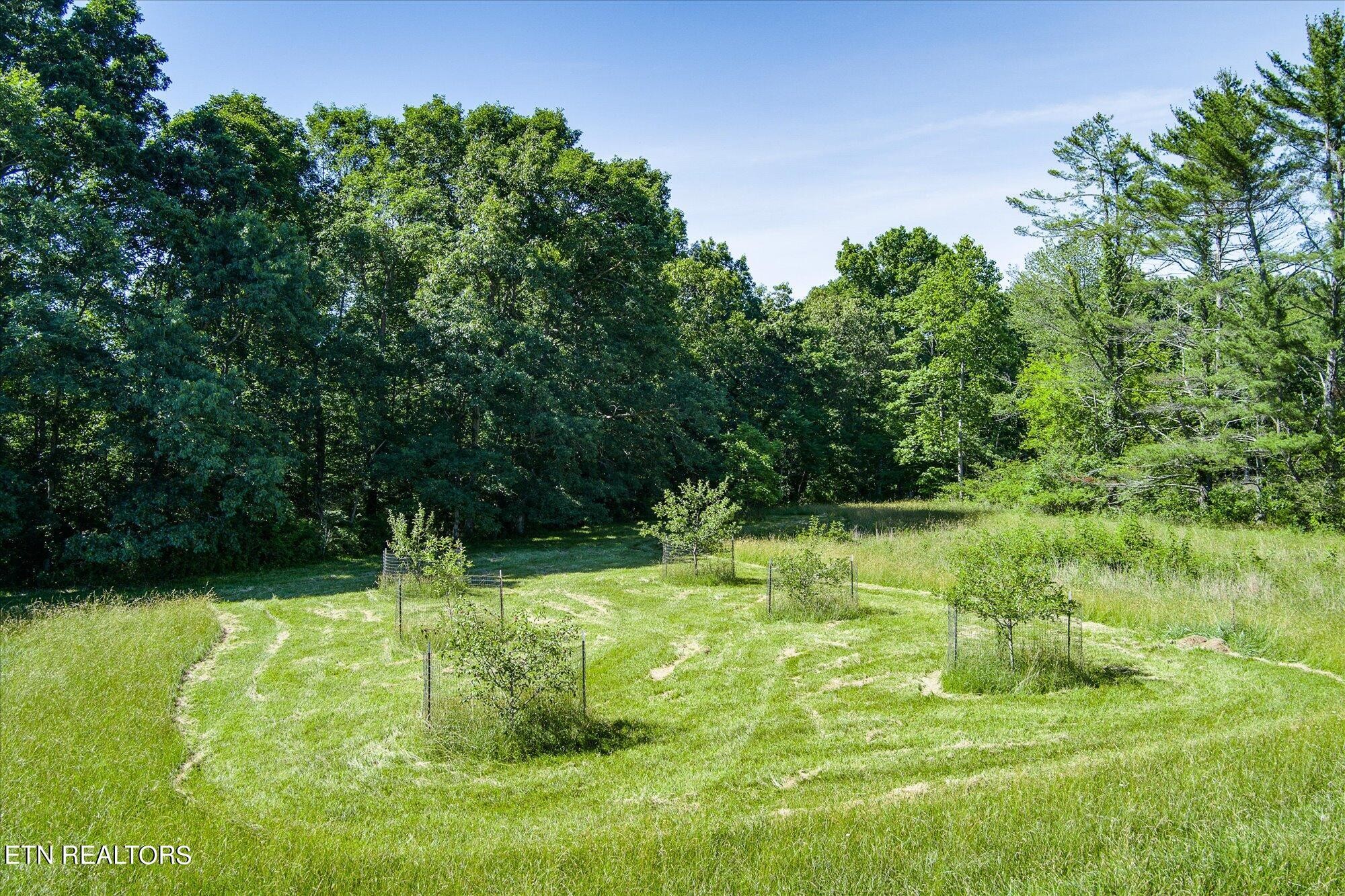 3159 Pigeon Ridge Road Crossville, TN 38555 - Photo 46 of 57 Gallery Image 46