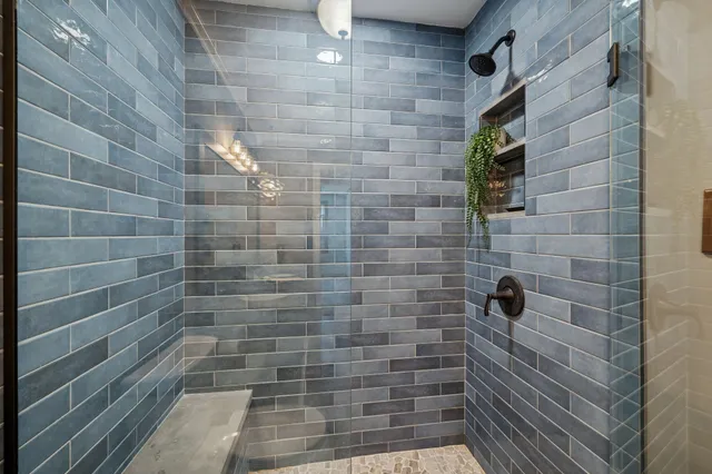 a view of a garden with plants