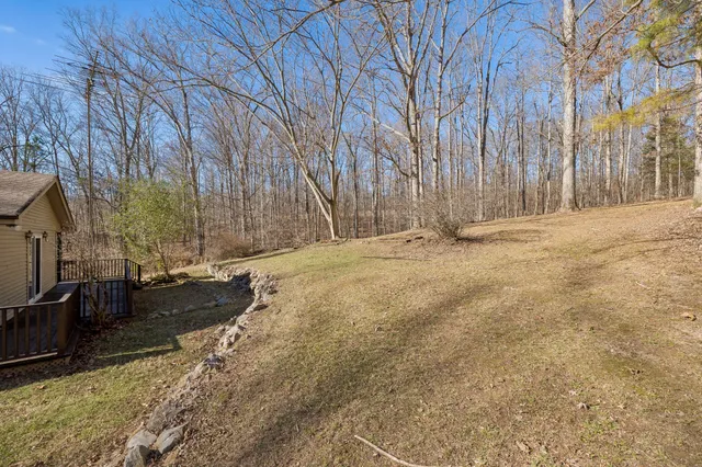 a backyard of a house with lots of green space
