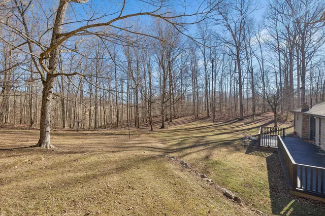 a backyard of a house with lots of green space