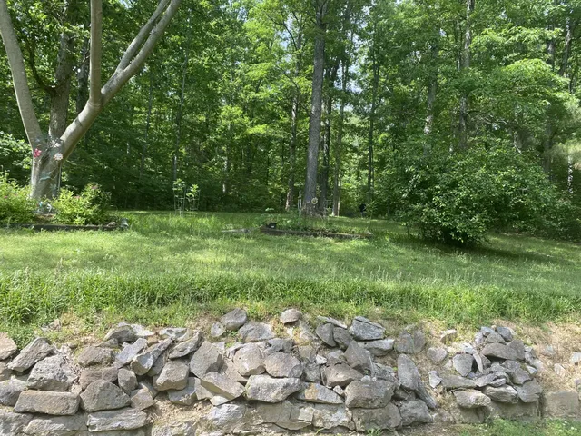 a big yard with lots of green space and deers