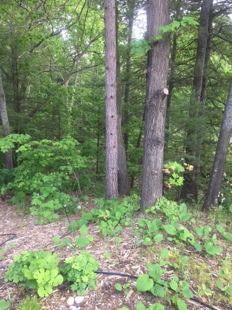6742 Mission Ridge Traverse City, MI 49686 - Photo 39 of 41 1836001-38.JPG