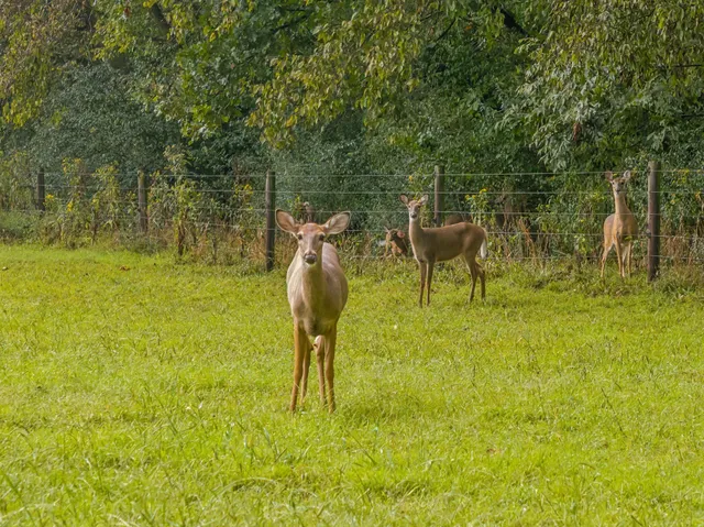 $4,950,000 | 2864 Sawyer Bend Road, Nashville, TN 37221