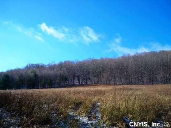 0 Hilsinger Road Dryden, NY 13053 - Photo 1 of 1 Land/Lot